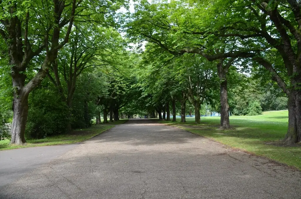 The tree-lined West Walk in Albert Park, Middlesbrough, on the edge of Linthorpe